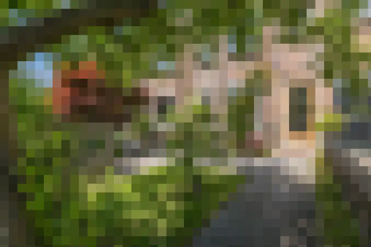 Laan van Meerdervoort 603 Den Haag thumbnail 5