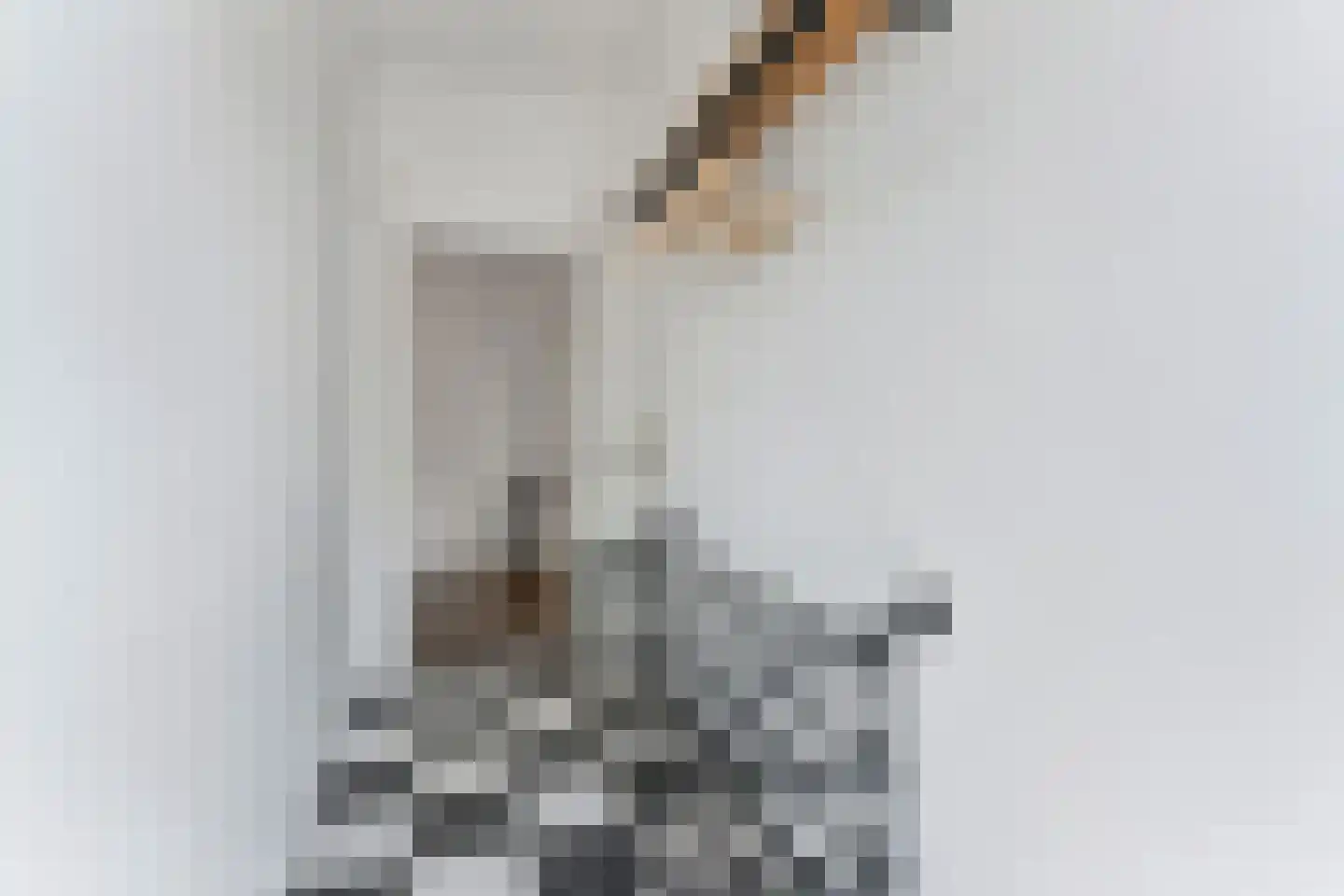 Laan van Meerdervoort 603 Den Haag thumbnail 6