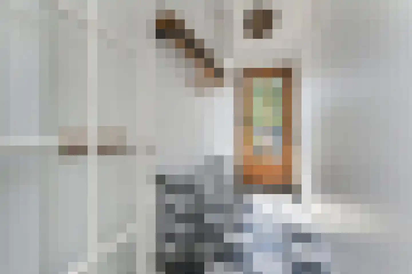 Laan van Meerdervoort 603 Den Haag thumbnail 7