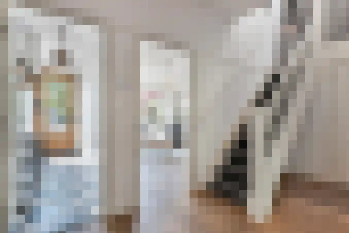 Laan van Meerdervoort 603 Den Haag thumbnail 8