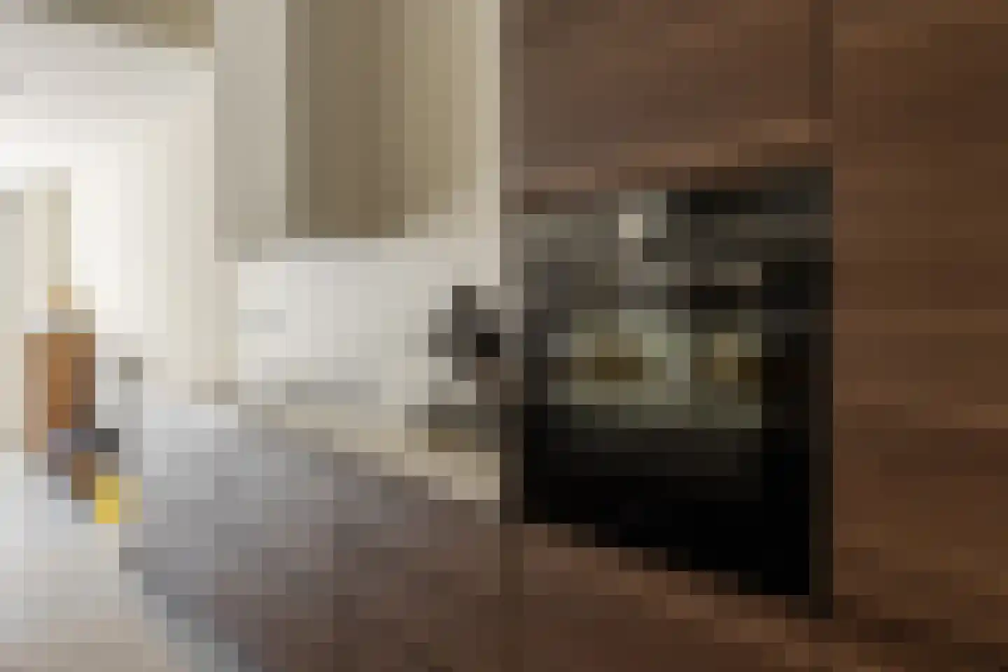 Laan van Meerdervoort 62 Den Haag thumbnail 10