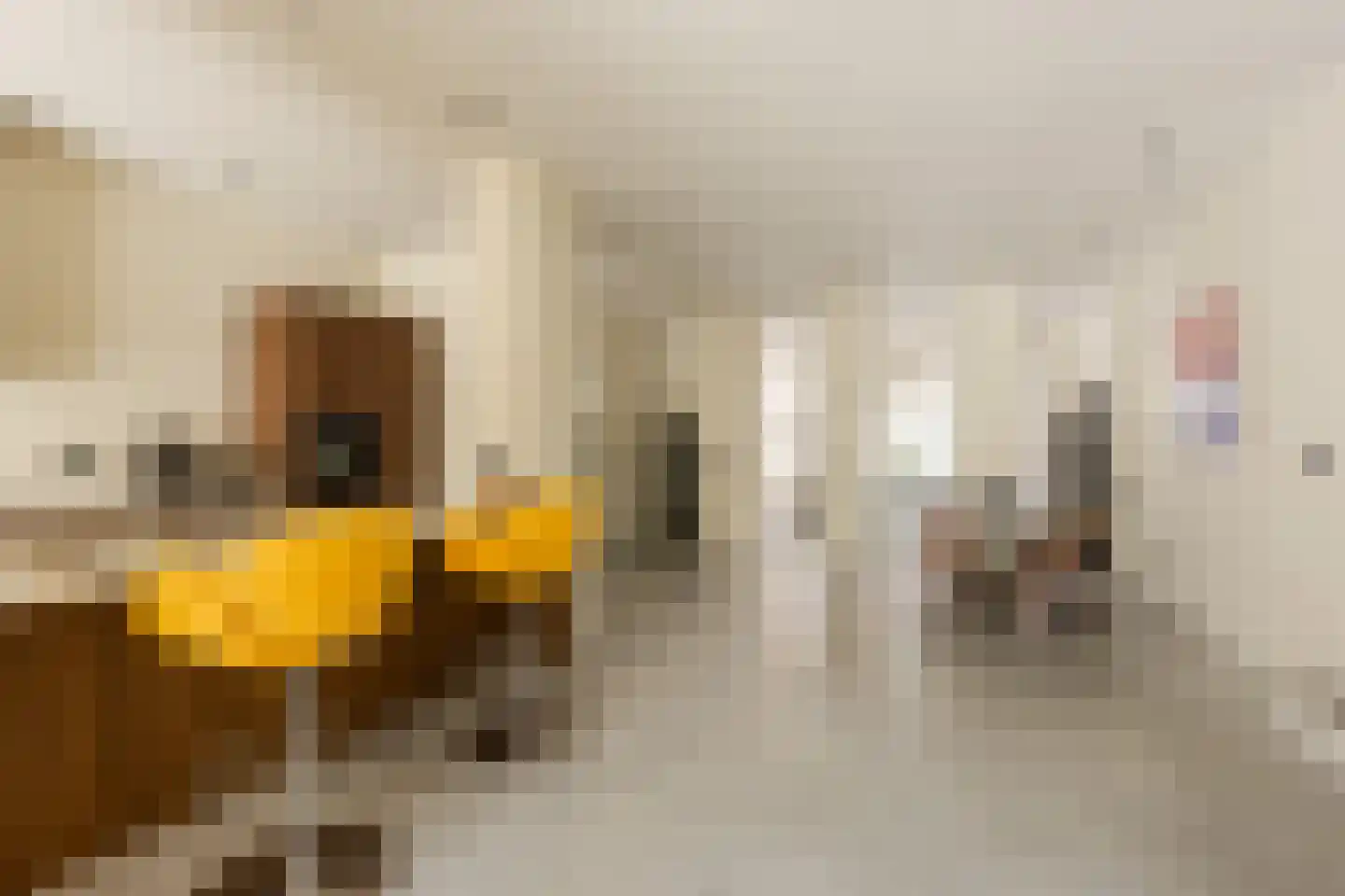 Laan van Meerdervoort 62 Den Haag thumbnail 15