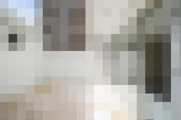 Laan van Meerdervoort 62 Den Haag thumbnail 18