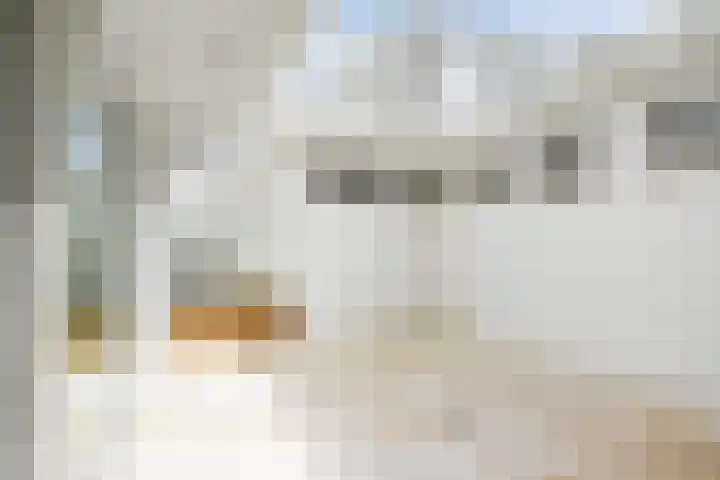 Laan van Meerdervoort 62 Den Haag thumbnail 19