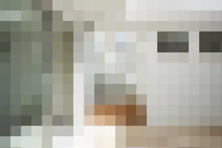 Laan van Meerdervoort 62 Den Haag thumbnail 20