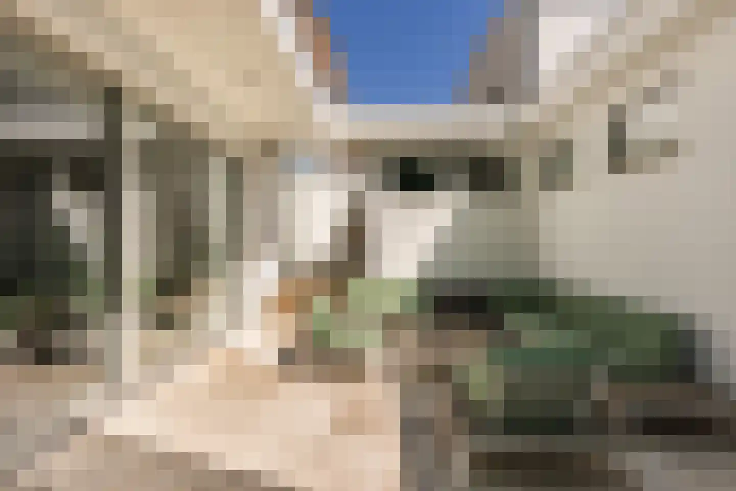 Laan van Meerdervoort 62 Den Haag thumbnail 22