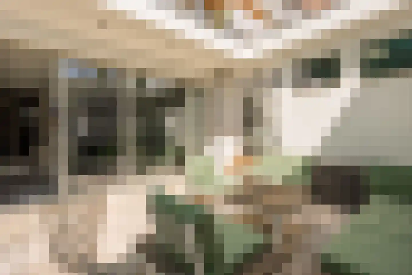 Laan van Meerdervoort 62 Den Haag thumbnail 23
