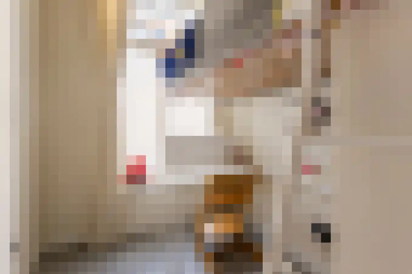 Laan van Meerdervoort 62 Den Haag thumbnail 26