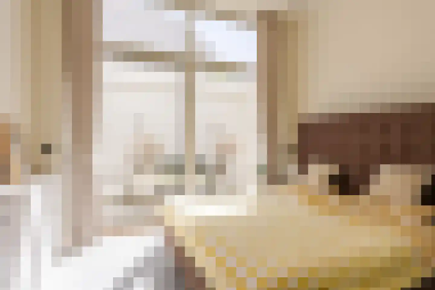 Laan van Meerdervoort 62 Den Haag thumbnail 37