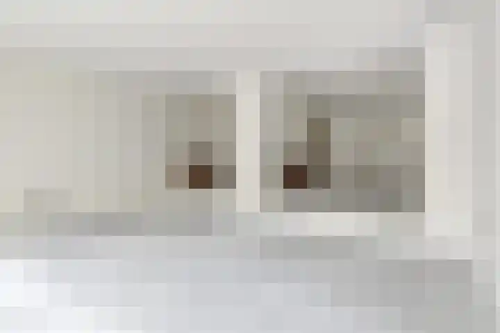 Laan van Meerdervoort 62 Den Haag thumbnail 6
