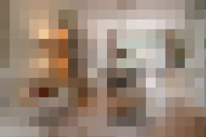 Laan van Meerdervoort 637 Den Haag thumbnail 16