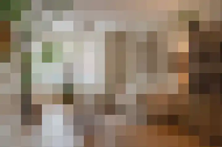 Laan van Meerdervoort 637 Den Haag thumbnail 18