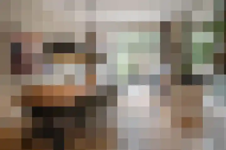 Laan van Meerdervoort 637 Den Haag thumbnail 21