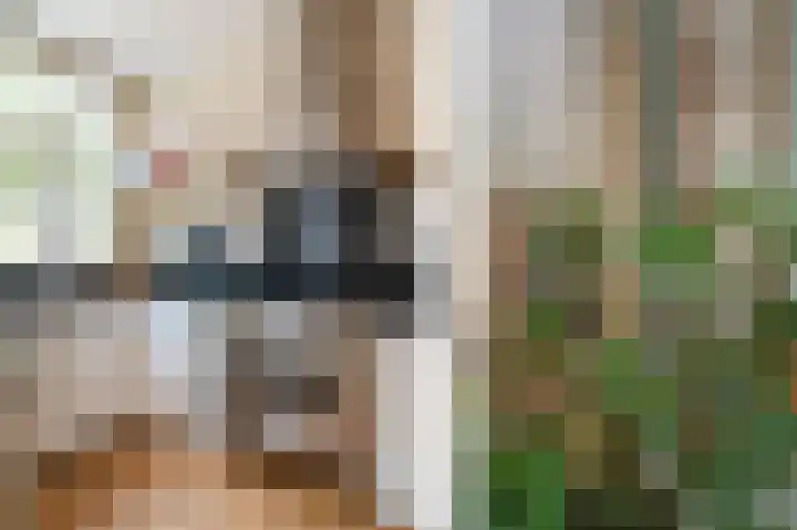 Laan van Meerdervoort 637 Den Haag thumbnail 27