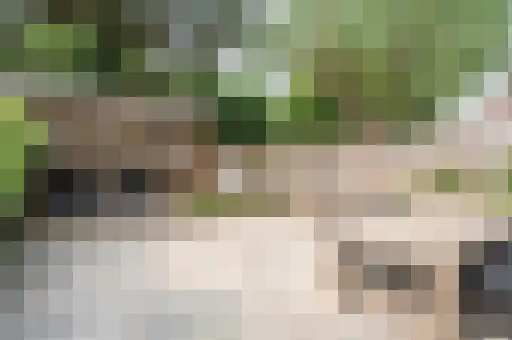 Laan van Meerdervoort 637 Den Haag thumbnail 30