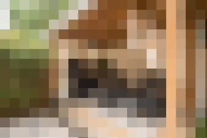 Laan van Meerdervoort 637 Den Haag thumbnail 32