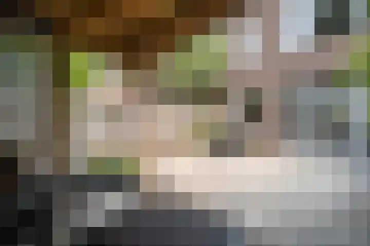 Laan van Meerdervoort 637 Den Haag thumbnail 33