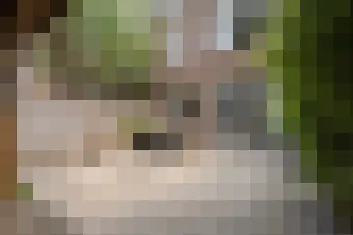 Laan van Meerdervoort 637 Den Haag thumbnail 34