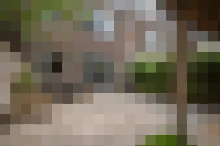 Laan van Meerdervoort 637 Den Haag thumbnail 35