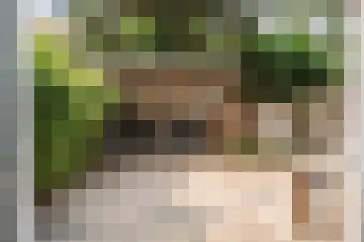 Laan van Meerdervoort 637 Den Haag thumbnail 4