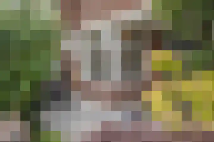Laan van Meerdervoort 637 Den Haag thumbnail 5
