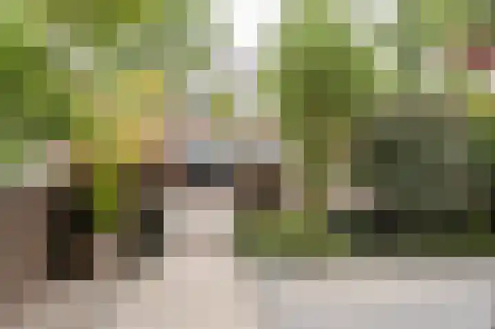Laan van Meerdervoort 637 Den Haag thumbnail 55