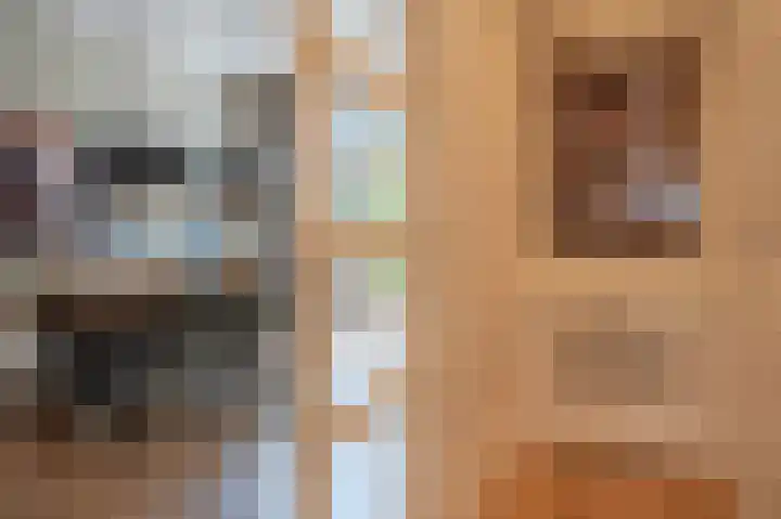 Laan van Meerdervoort 637 Den Haag thumbnail 9