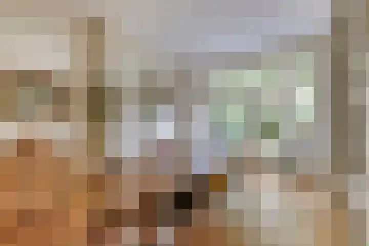 Laan van Meerdervoort 647 Den Haag thumbnail 11