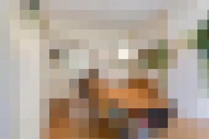 Laan van Meerdervoort 647 Den Haag thumbnail 12
