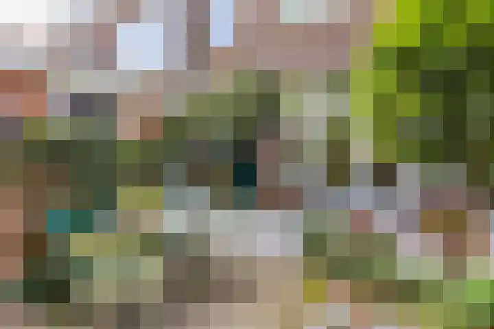 Laan van Meerdervoort 647 Den Haag thumbnail 14