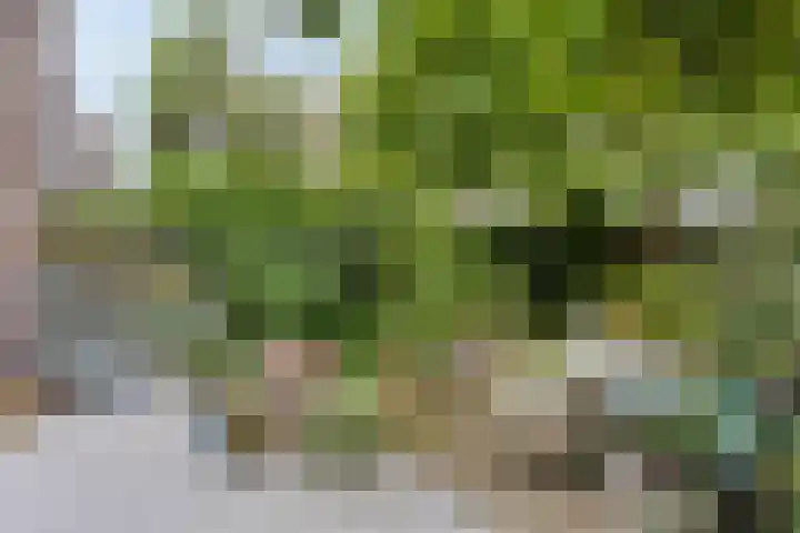 Laan van Meerdervoort 647 Den Haag thumbnail 15