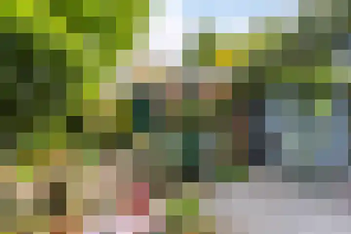 Laan van Meerdervoort 647 Den Haag thumbnail 16