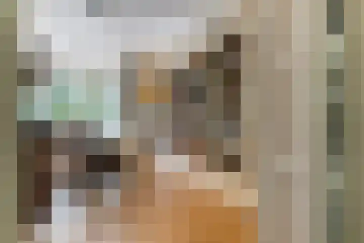 Laan van Meerdervoort 647 Den Haag thumbnail 25