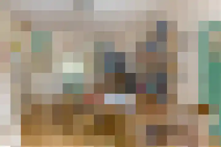 Laan van Meerdervoort 647 Den Haag thumbnail 27