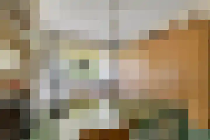 Laan van Meerdervoort 647 Den Haag thumbnail 30