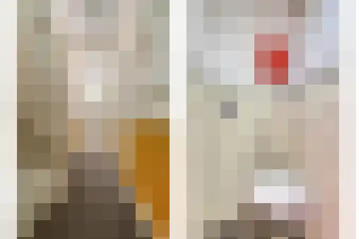 Laan van Meerdervoort 647 Den Haag thumbnail 32