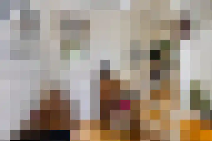 Laan van Meerdervoort 647 Den Haag thumbnail 33