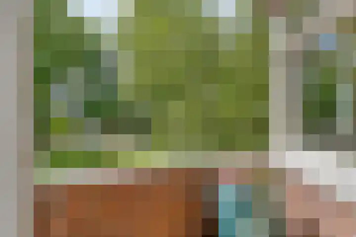 Laan van Meerdervoort 647 Den Haag thumbnail 35