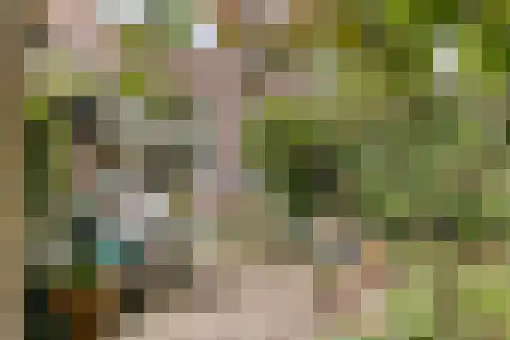 Laan van Meerdervoort 647 Den Haag thumbnail 4