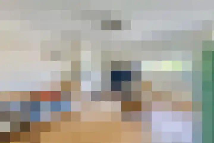 Laan van Meerdervoort 647 Den Haag thumbnail 42