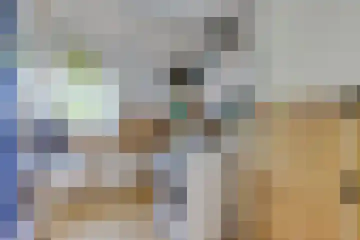 Laan van Meerdervoort 647 Den Haag thumbnail 45