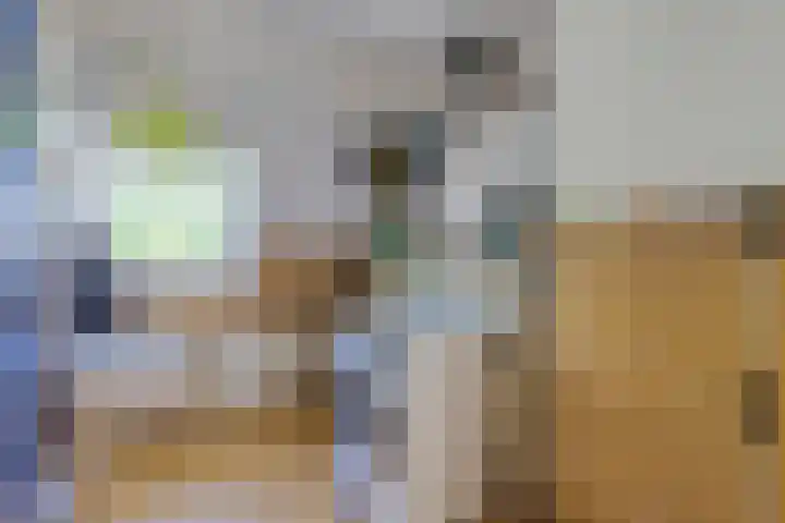 Laan van Meerdervoort 647 Den Haag thumbnail 46