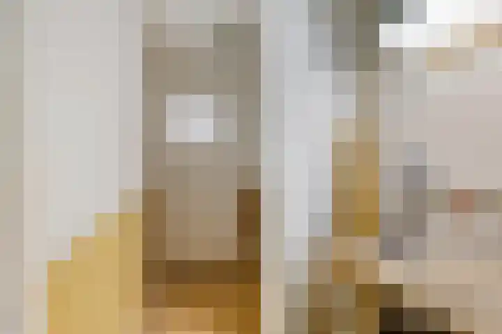 Laan van Meerdervoort 647 Den Haag thumbnail 47