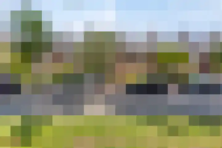 Laan van Meerdervoort 647 Den Haag thumbnail 51