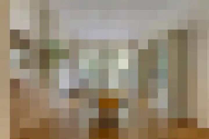 Laan van Meerdervoort 647 Den Haag thumbnail 9