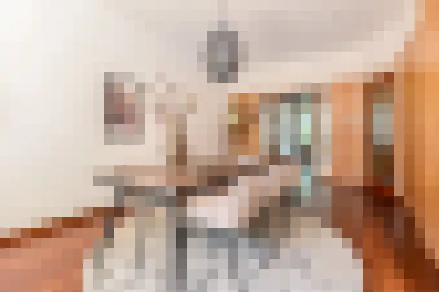 Laan van Meerdervoort 714 Den Haag thumbnail 18