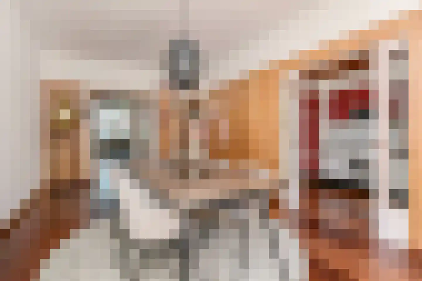 Laan van Meerdervoort 714 Den Haag thumbnail 19