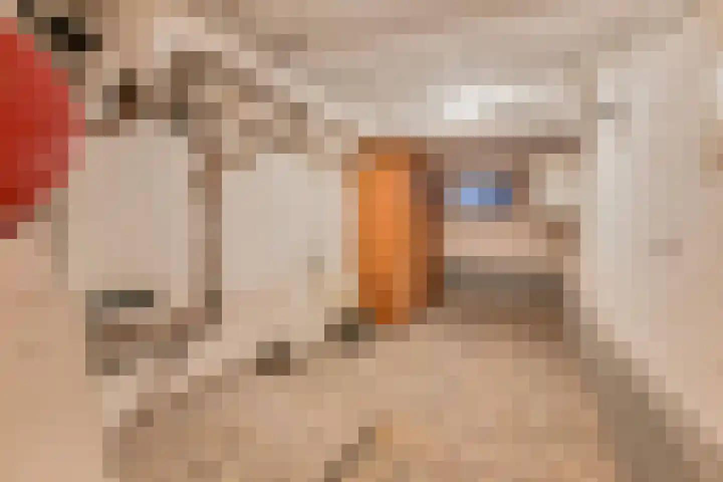 Laan van Meerdervoort 714 Den Haag thumbnail 25