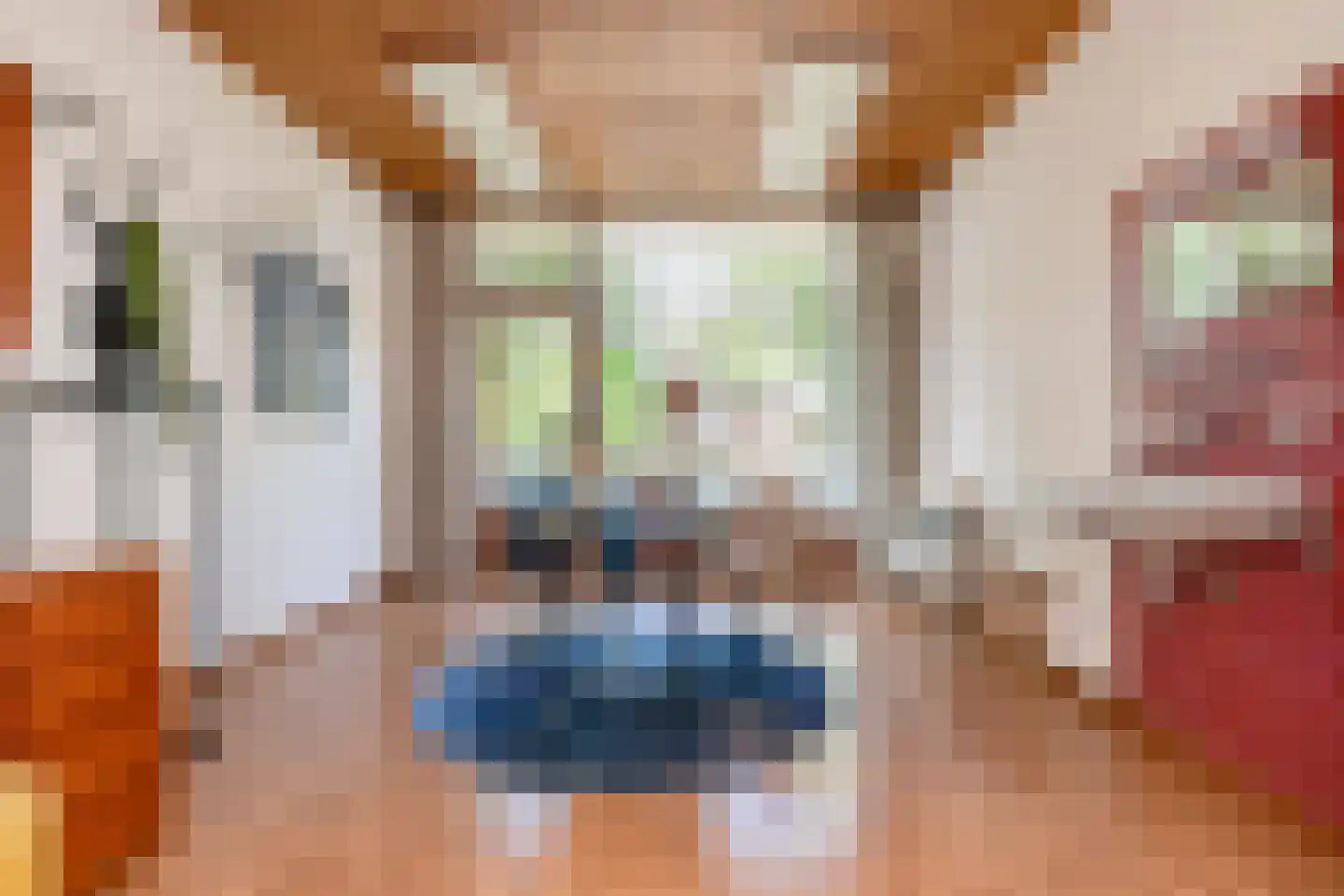 Laan van Meerdervoort 714 Den Haag thumbnail 29