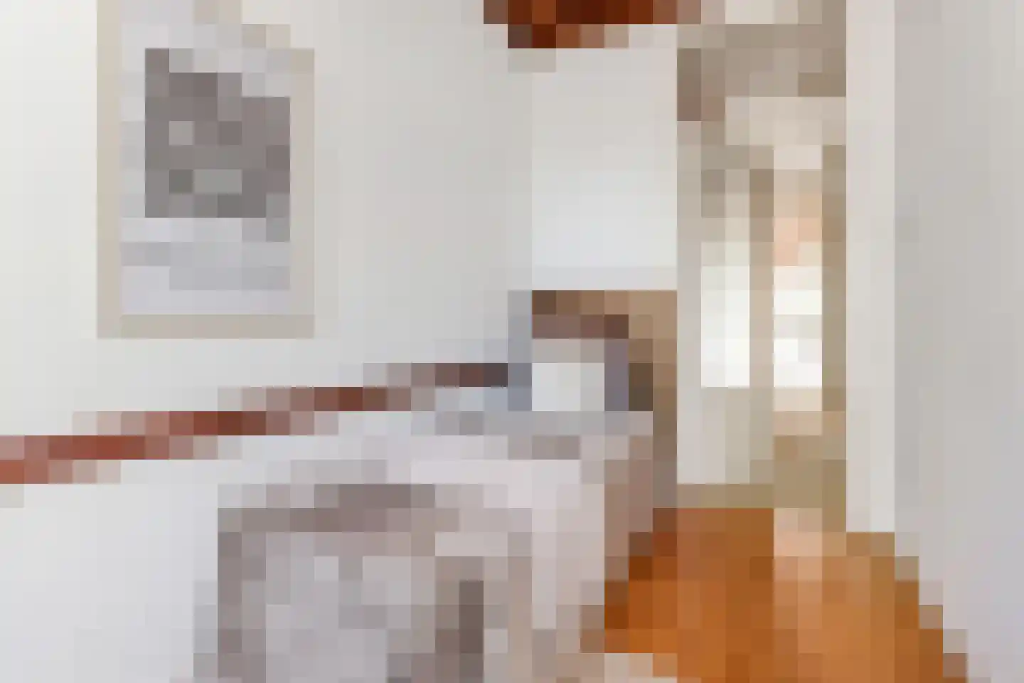 Laan van Meerdervoort 714 Den Haag thumbnail 38